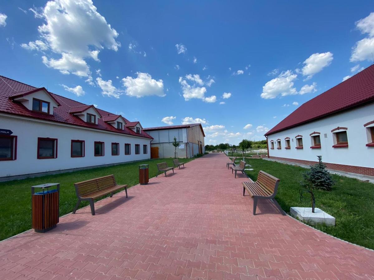 Terra Penzion Jasova Exterior photo